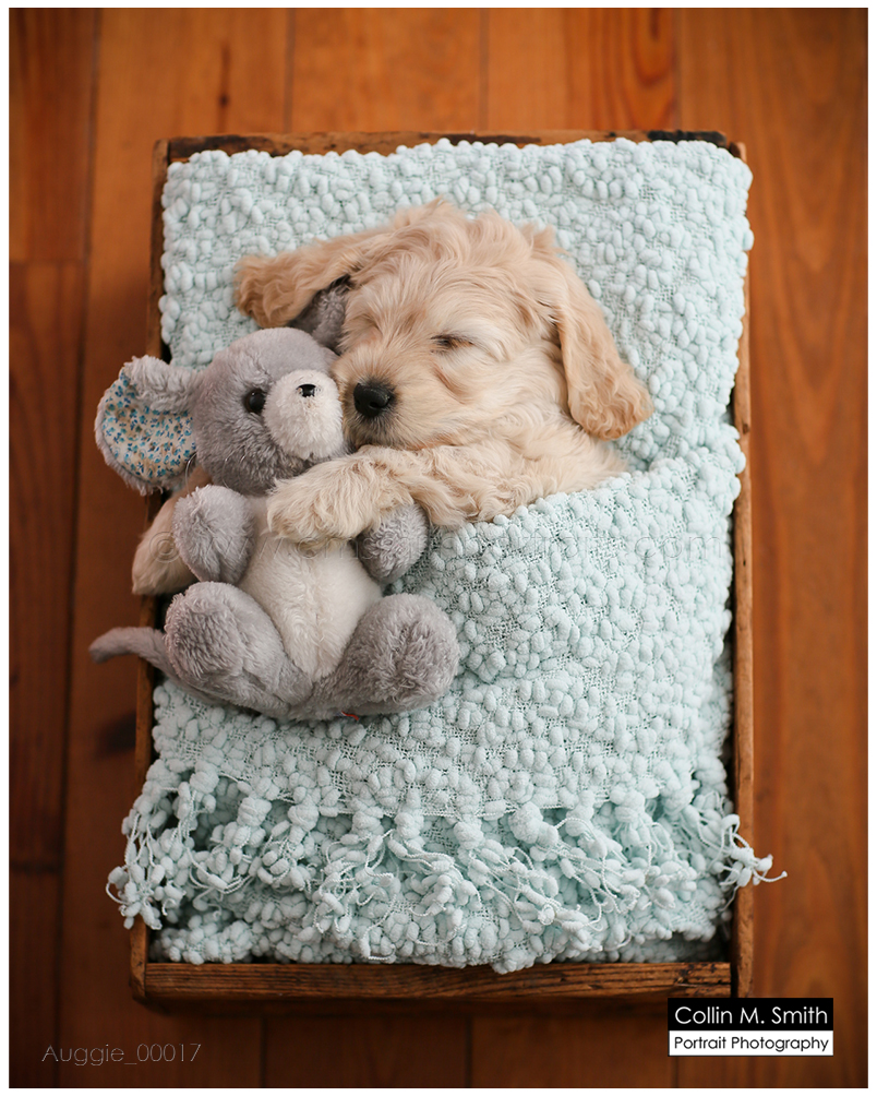 © Collin M. Smith Portrait Photography www.cmsmithportraits.com/blog